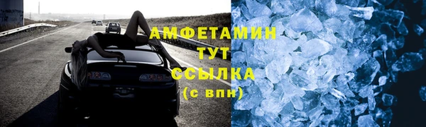 индика Надым
