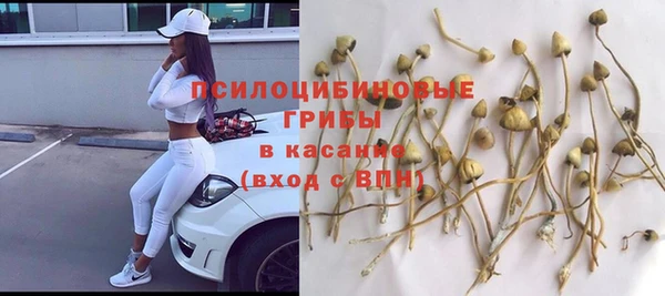тгк Михайловка