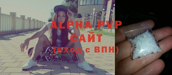 индика Надым