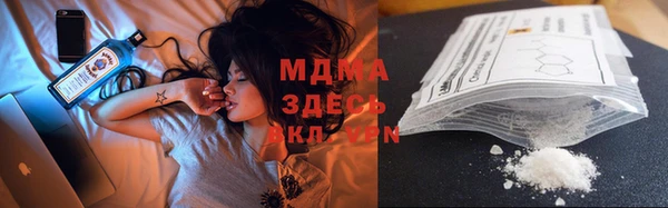 индика Надым