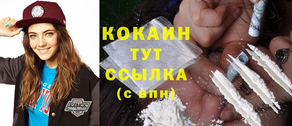 индика Надым