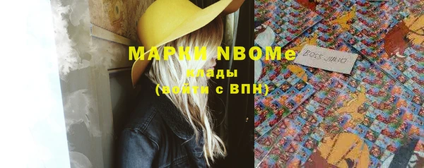 индика Надым