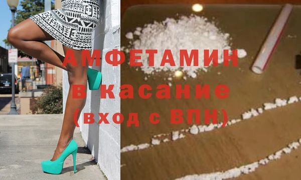 индика Надым