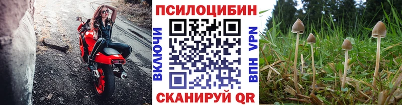 OMG вход  нарко площадка телеграм  Галлюциногенные грибы мухоморы  Сычёвка 